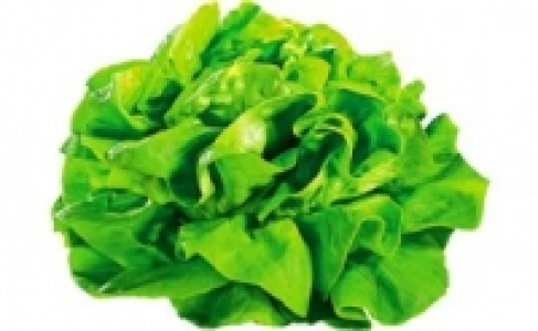 Kopfsalat 0.69&nbsp;&euro;