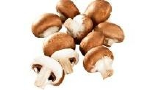 Champignons braun 0.99 €
