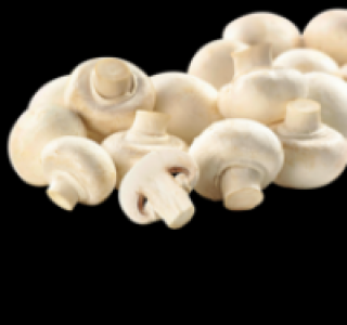 Weiße Champignons 1.11 €