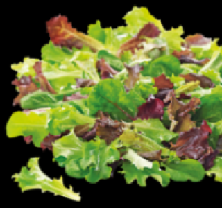 Pfl&uuml;cksalat 0.69&nbsp;&euro;
