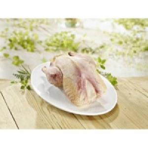 Fasane 4.99&nbsp;&euro;