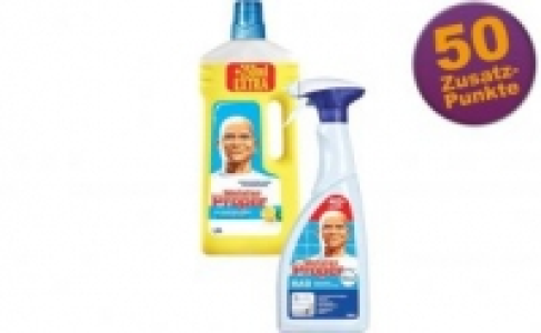Meister Proper Reiniger 1.35 €
