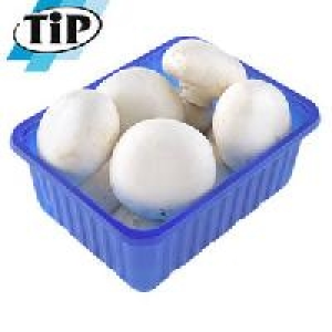 Niederlande Polen Champignons