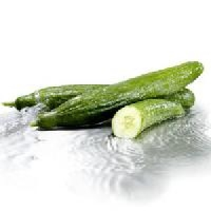 Spanien Niederlande Salatgurken