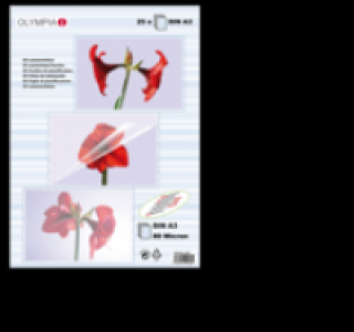 OLYMPIA Laminierfolien 1.99&nbsp;&euro;