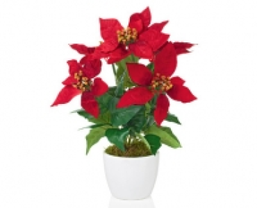 Weihnachtliche Textilpflanze 6.99&nbsp;&euro;