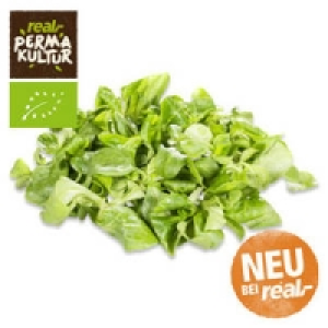 Italien Feldsalat 1.49 €