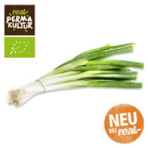 Italien Lauchzwiebeln 1.49 €