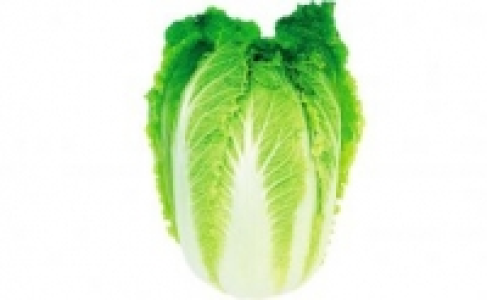 Chinakohl 0.88&nbsp;&euro;