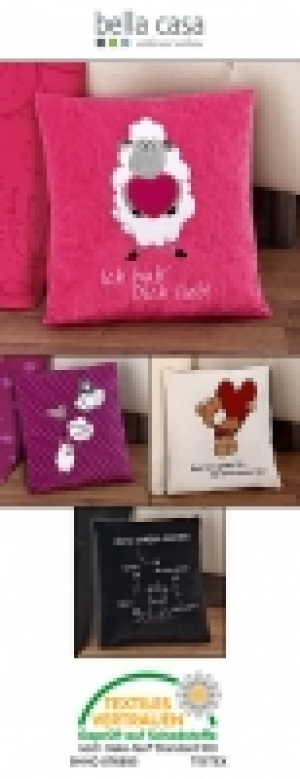 Pl&uuml;schkissen 3.99&nbsp;&euro;
