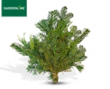GARDENLINE®Tannengrün Handbund