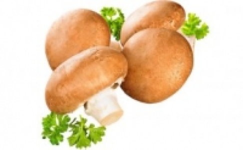 Champignons braun 0.88 €