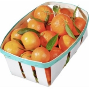 Clementinen mit Blatt 1.85&nbsp;&euro;