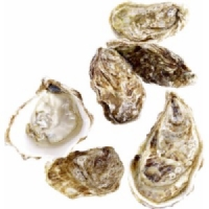 Felsenauster Fine de Claire Nr.2 0.79 €