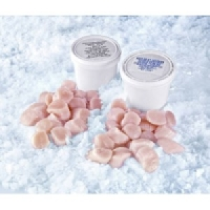 MSC Kammmuschelfleisch 29.99&nbsp;&euro;