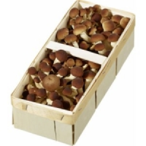 Frische Pioppini Pilze 5.99&nbsp;&euro;
