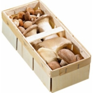 Frische Pilzspezialit&auml;ten 3.99&nbsp;&euro;