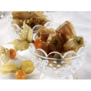 Physalis 0.99&nbsp;&euro;