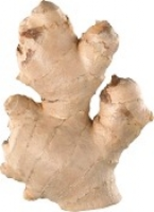 Bio-Ingwer 5.99&nbsp;&euro;