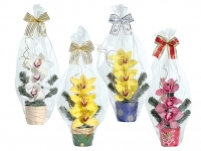 Orchideengesteck 3.99 €