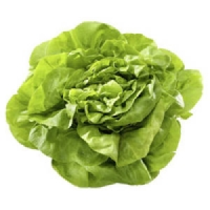 Italien/Belgien Kopfsalat 0.99&nbsp;&euro;