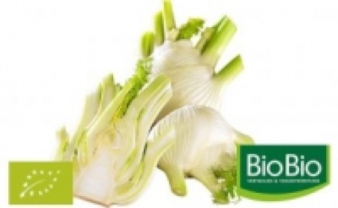Fenchel 1.49 €