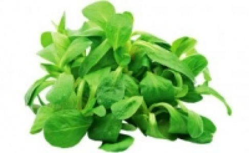 Feldsalat 0.69 €