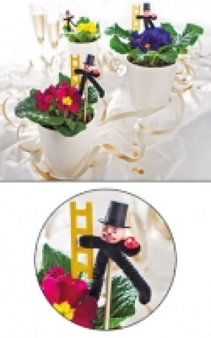 Silvesterprimel 0.99 €