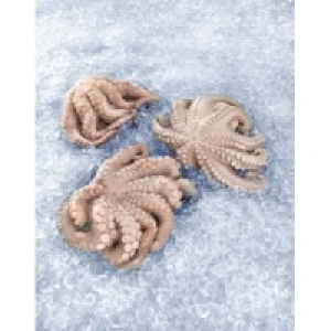 Krake/Pulpo 10.99&nbsp;&euro;