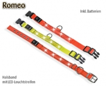 ROMEO®LED-Halsband/­Leuchtband