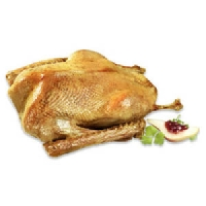 Polnische Hafermastgans 2.99&nbsp;&euro;