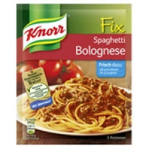 Knorr Fix f&uuml;r Spaghetti Bolognese oder f&uuml;r Rouladen 0.49&nbsp;&euro;