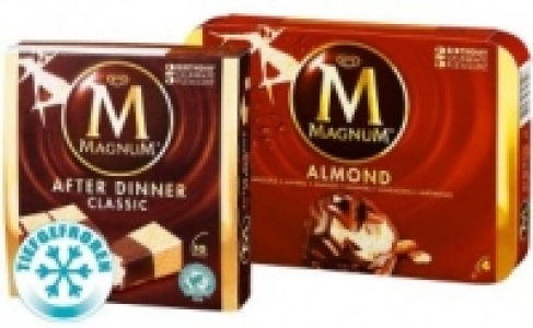 Langnese Magnum Eis 1.95 €