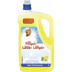 Mr. Proper Professional Allzweckreiniger 14.19 €