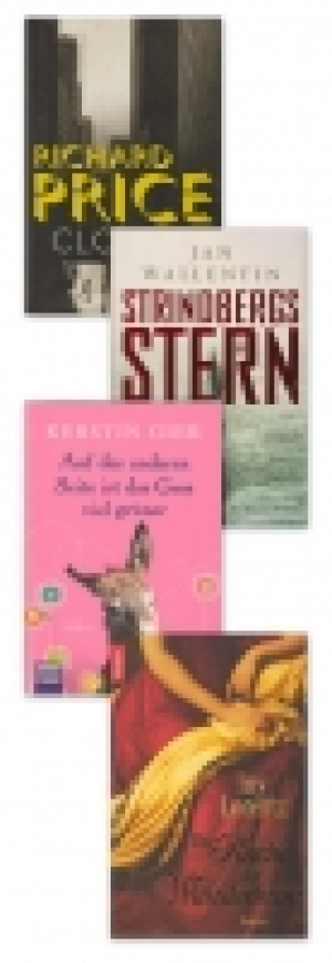 Verschiedene Romane 3.99 €