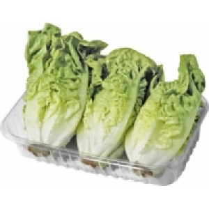 Salatherzen Romana 0.99 €