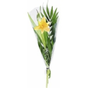 Strauß Tulpe 0.37 €