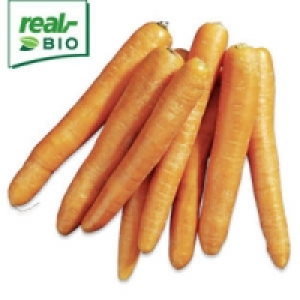 Niederlande Speisem&ouml;hren