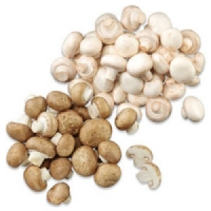 Niederlande/Polen Champignons wei&szlig; oder braun