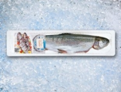Regenbogen-Forelle 0.89&nbsp;&euro;
