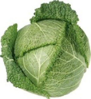 Wirsing 1.99&nbsp;&euro;