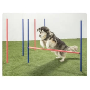 Agility-Set Harry