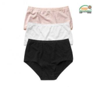 Damenslip 2.99 €