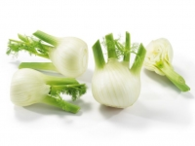 Fenchel Italien 1.49&nbsp;&euro;