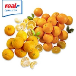 Spanien Saftorangen oder Saftclementinen 1.99&nbsp;&euro;