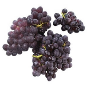 S&uuml;dafrika Tafeltrauben, blau, kernlos