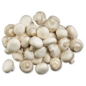 Niederlande/Polen Champignons, wei&szlig;
