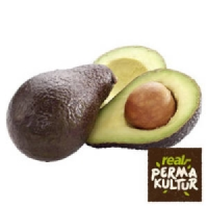 Spanien Avocado Gwen