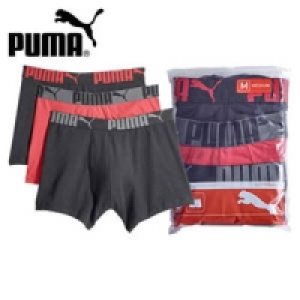 Herren-Retroshorts