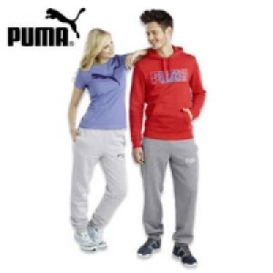 Jogginghose 29.95 €